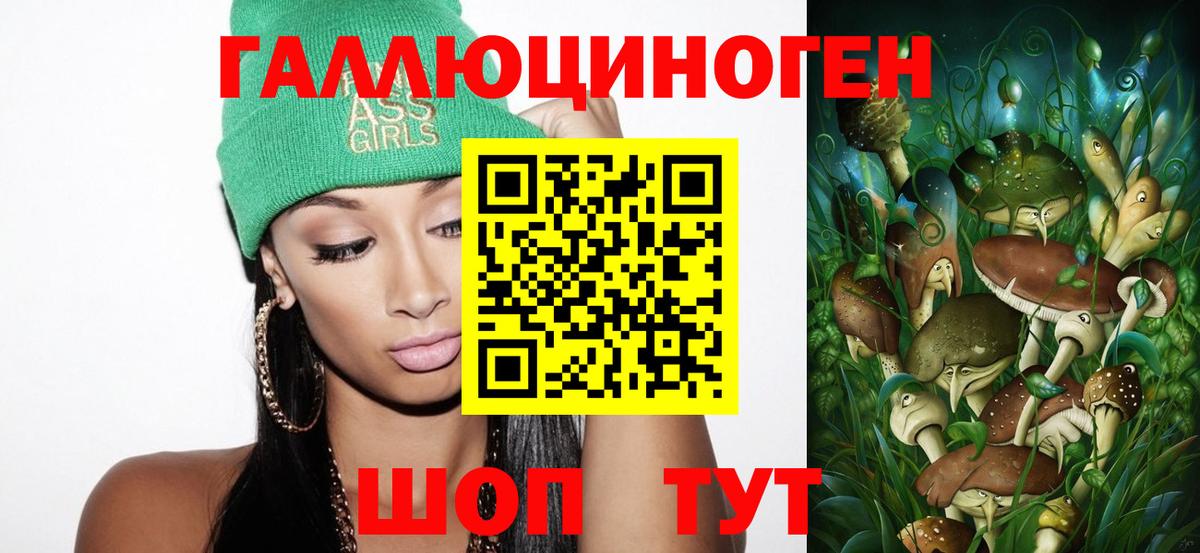 Галлюциногенные грибы Magic Shrooms  Псилоцибиновые грибы Psilocybine cubensis  где купить наркоту  Чернушка  Вход с VPN 
